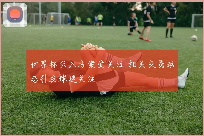 世界杯买入方案受关注 相关交易动态引发球迷关注