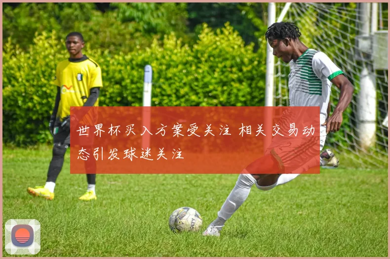 世界杯买入方案受关注 相关交易动态引发球迷关注