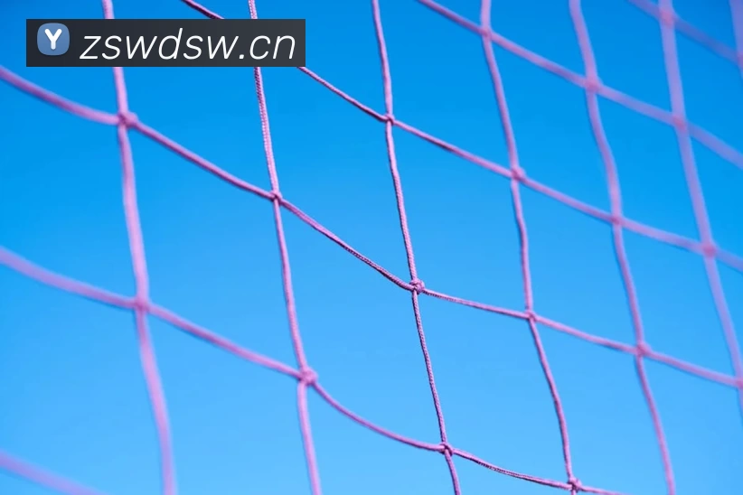 Z6·尊龙凯时「中国区」官方网站品牌故事